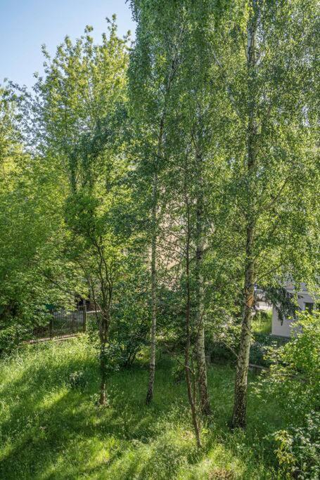 Apartmán Rozana, Stary Mokotow Varšava Exteriér fotografie